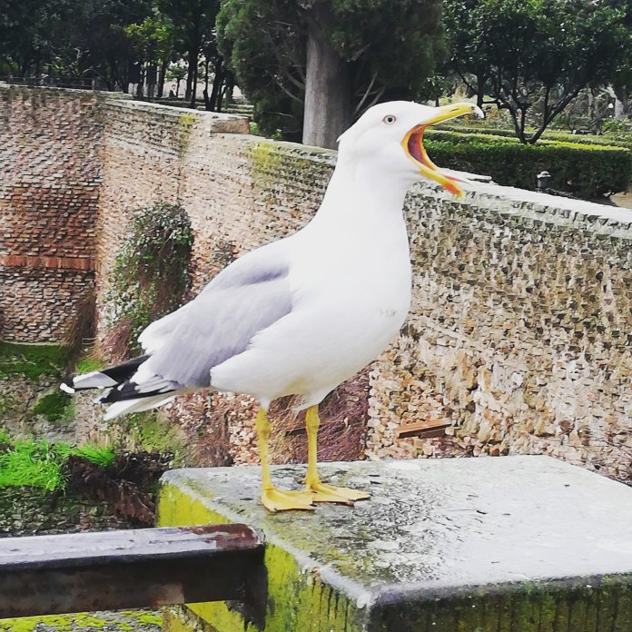 IMG_20200128_125719_110